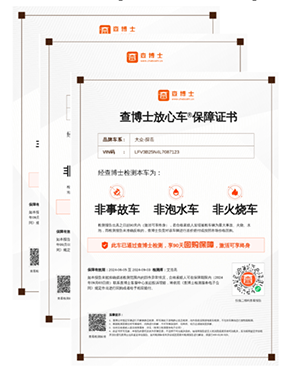 On-site inspection Report