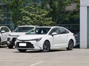 toyota levin 2024 Hybrid