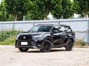 toyota crown kluger 2024 Petrol