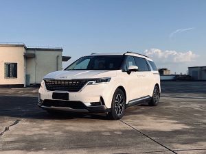 kia carnival imported 2022 Petrol