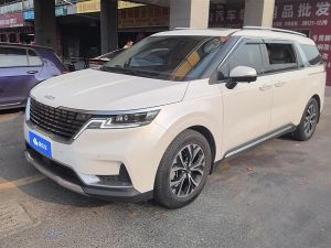 kia carnival imported 2022 Petrol