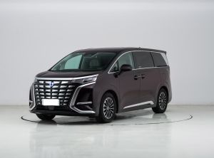 denza d9 2024 Plug-in Hybrid