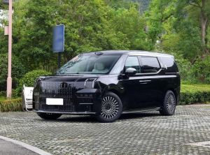 zeekr 009 2024 Electric