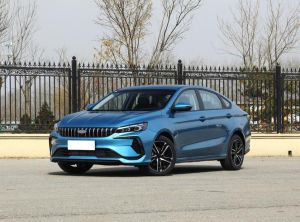 geely binrui 2024 Petrol