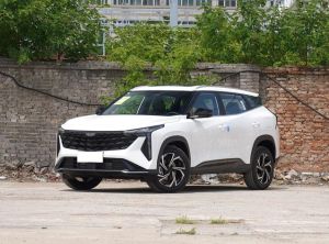 geely boyue 2024 Petrol