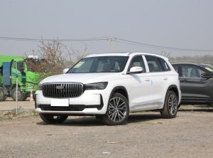 geely monjaro  zhiqing 2024 Hybrid