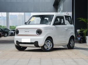 Geely Panda 2024 Electric