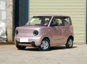 Geely Panda 2024 Electric
