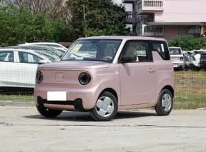 geely panda 2024 Electric