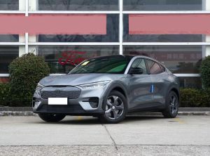 ford mustang mach-e. 2024 Electric