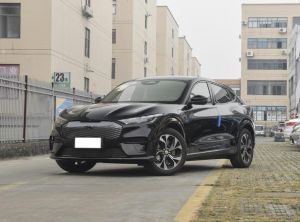 ford mustang mach-e. 2024 Electric