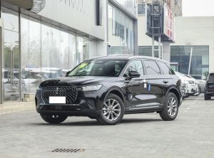 Changan Lincoln Lincoln Corsair 2024 Petrol