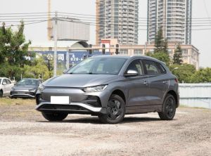 byd e2 2024 Electric