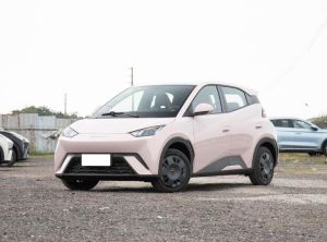 byd seagull 2024 Electric