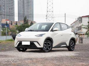 byd seagull 2024 Electric