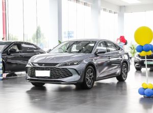 byd qin l 2024 Plug-in Hybrid