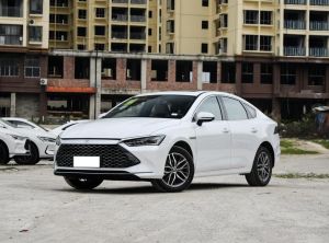 byd qin plus 2024 Plug-in Hybrid
