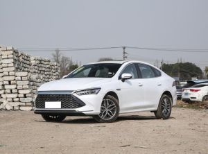 byd qin plus 2024 Plug-in Hybrid