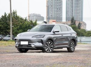 byd song plus new energy 2024 Plug-in Hybrid