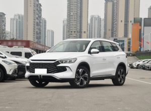 byd song pro new energy 2024 Plug-in Hybrid