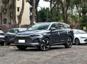 byd tang new energy 2024 Plug-in Hybrid