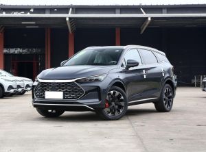 byd tang new energy 2024 Plug-in Hybrid