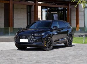 BYD Tang New Energy 2024 Plug-in Hybrid