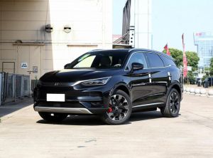 BYD Tang New Energy 2024 Electric