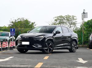 byd sea lion07 2024 Electric