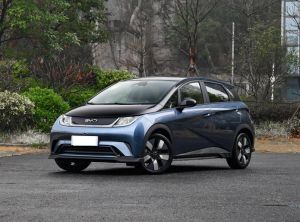 byd dolphin 2024 Electric