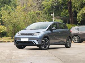 byd dolphin 2024 Electric