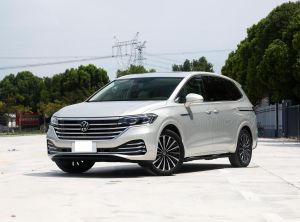 volkswagen viloran 2024 Petrol