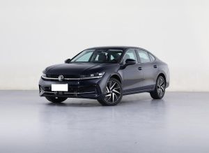 volkswagen magotan 2024 Petrol