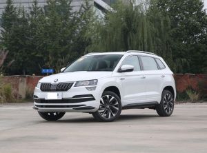 skoda karoq 2024 Petrol