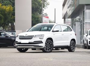 skoda karoq 2024 Petrol