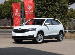 skoda kamiq 2024 Petrol