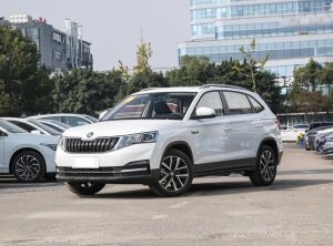 skoda kamiq 2024 Petrol