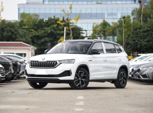 skoda kamiq 2024 Petrol