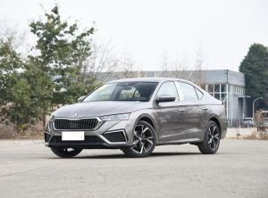 skoda octavia 2024 Petrol