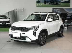 kia sonet 2024 Petrol