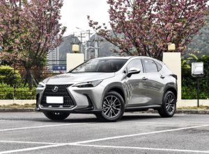lexus nx 2024 Plug-in Hybrid