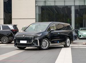 voyah dream 2024 Electric