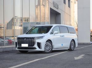 voyah dream 2024 Electric