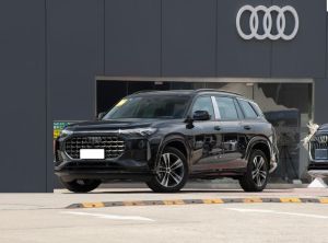 Audi Q6 2024 Petrol