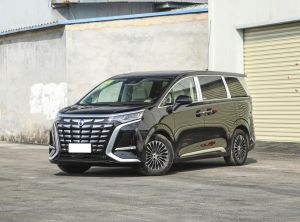 denza d9 2024 Plug-in Hybrid