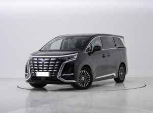 denza d9 2024 Plug-in Hybrid