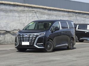 denza d9 2024 Plug-in Hybrid