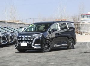 denza d9 2024 Plug-in Hybrid