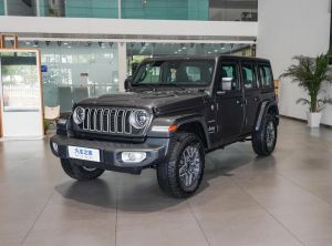 jeep wrangler 2024 Petrol