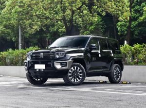 Great Wall Tank 700 New Energy 2024 Plug-in Hybrid